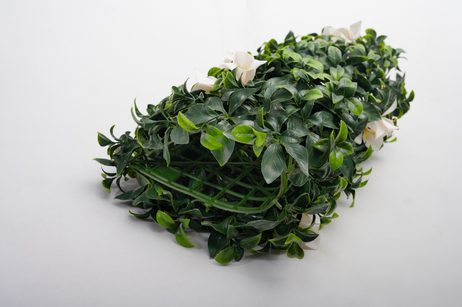 Laurel flores Blancas.