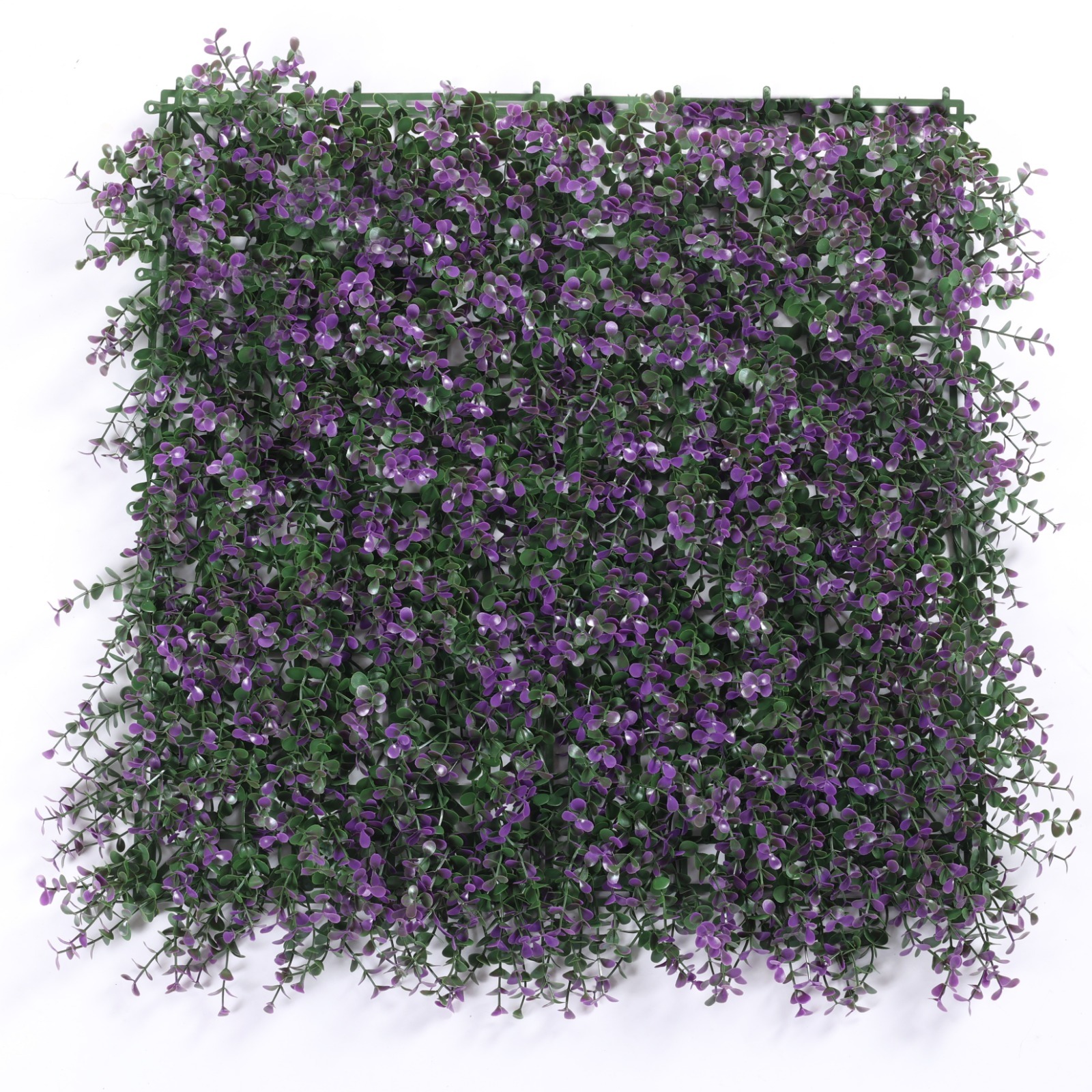Trebol Flores Lilas