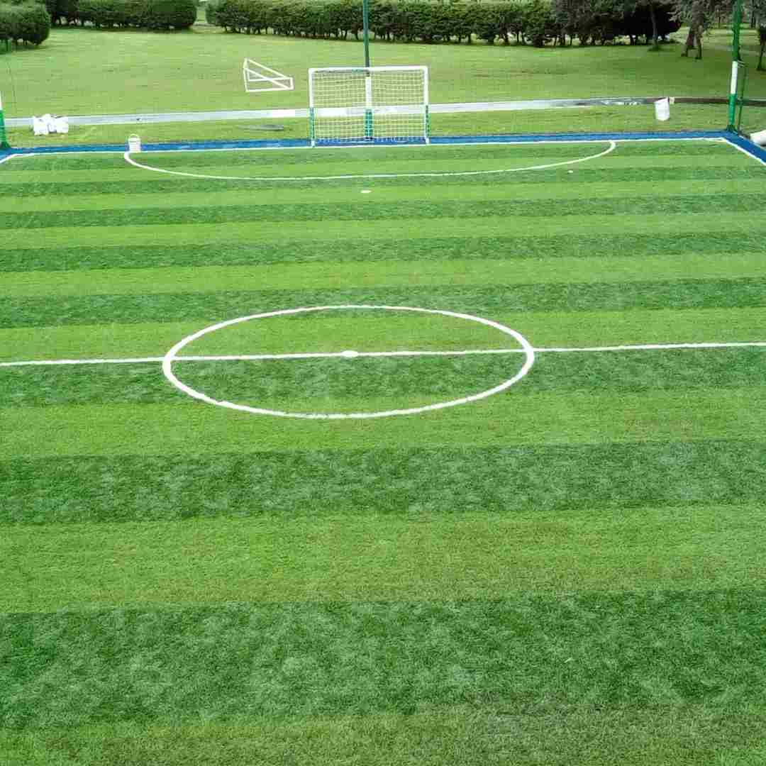Campos deportivos